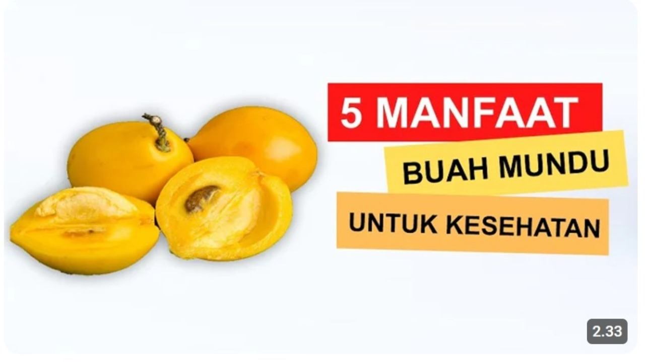 Jarang Dikenal, Tapi Super Berkhasiat! Kenalan Yuk Sama Buah Mundu, Si Kecil Kaya Manfaat!