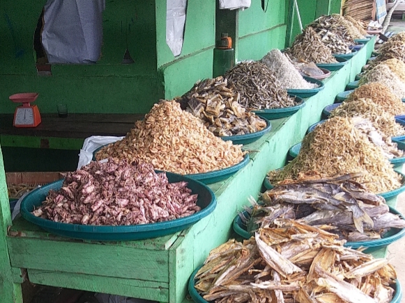 Produksi Ikan Asin Pedagang di Pantai Panjang Bengkulu Berkurang, Ini Penyebabnya