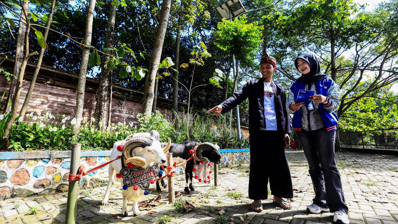 Idul Adha Jadi Momentum, BRI Peduli Tingkatkan Produktivitas Peternak Domba di Desa BRILiaN Sukalaksana Garut