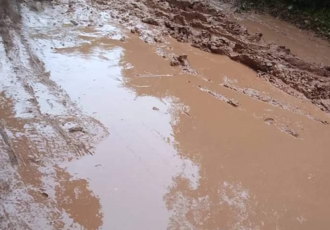 Jalan Bagaikan Bubur, Kadis PUPR Banyuasin : Tahun Ini Bakal Diperbaiki 3 Kilometer