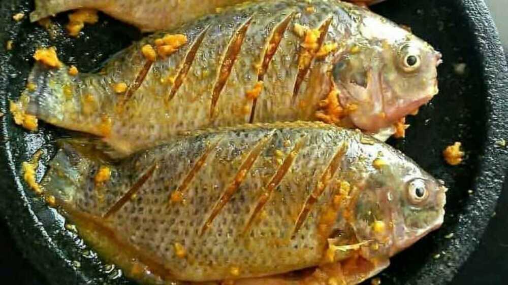 Selain Lezat, Ini 5 Manfaat Konsumsi Ikan Nila