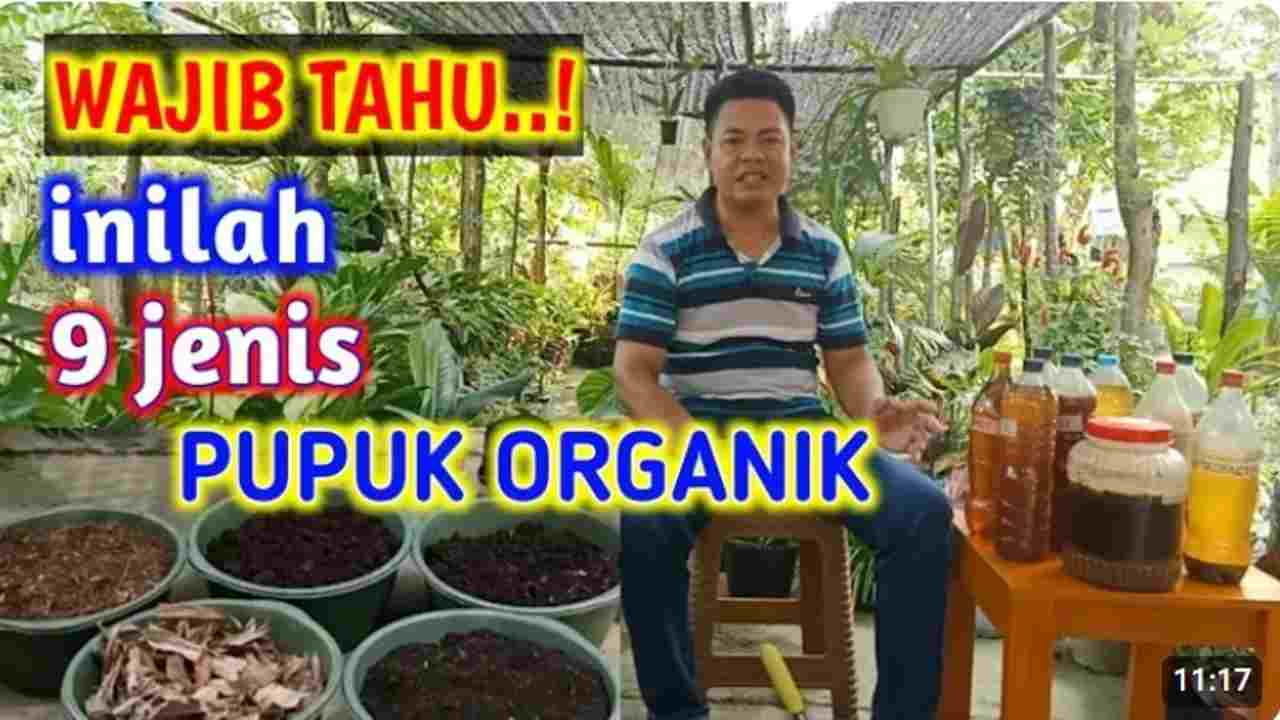 Bikin Tanaman Subur dan Ramah Lingkungan? Coba 9 Pupuk Organik Ini!