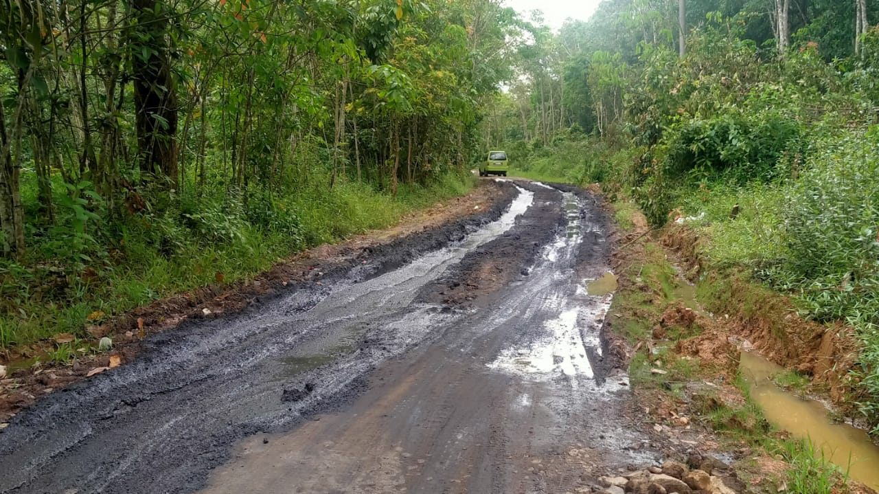 Baru Dibangun, Jalan Lubuk Lancang Bengkuang Sudah Jadi Bubur