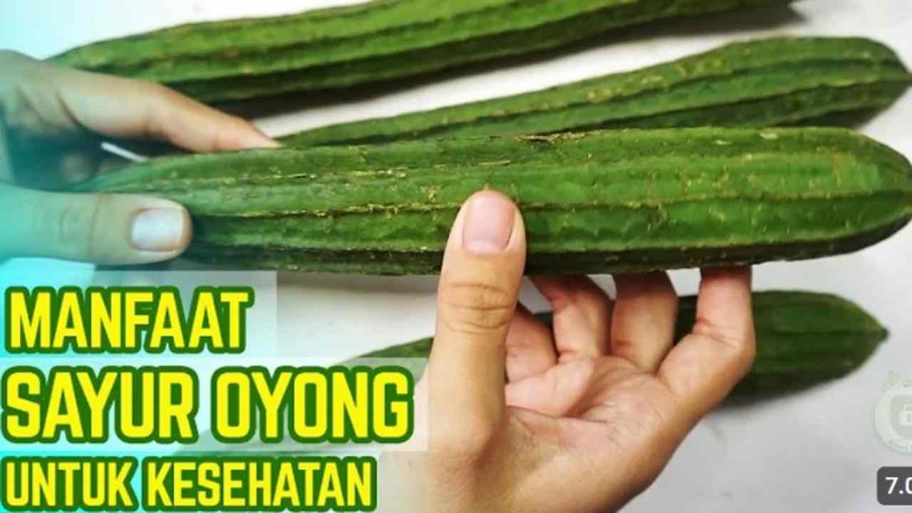 Bukan Sayur Biasa! 9 Khasiat Oyong yang Jarang Diketahui Orang!