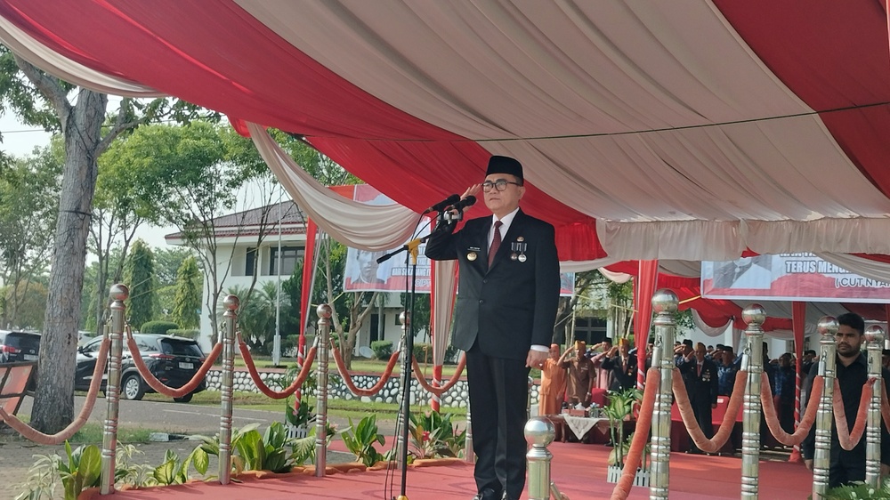 Peringatan Hari Pahlawan di Banyuasin: Pj Bupati Banyuasin Ajak Masyarakat Lestarikan Nilai-Nilai Kepahlawanan