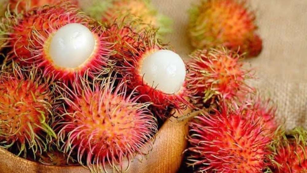 Makan Rambutan Bisa Bikin Asam Lambung Naik dan Batuk? Cek Faktanya