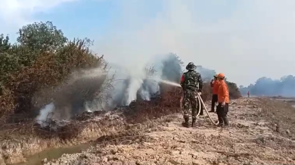 5 Hektar Lahan Gambut di Desa Ujung Tanjung Banyuasin Terbakar, Petugas Masih Lakukan Pemadaman