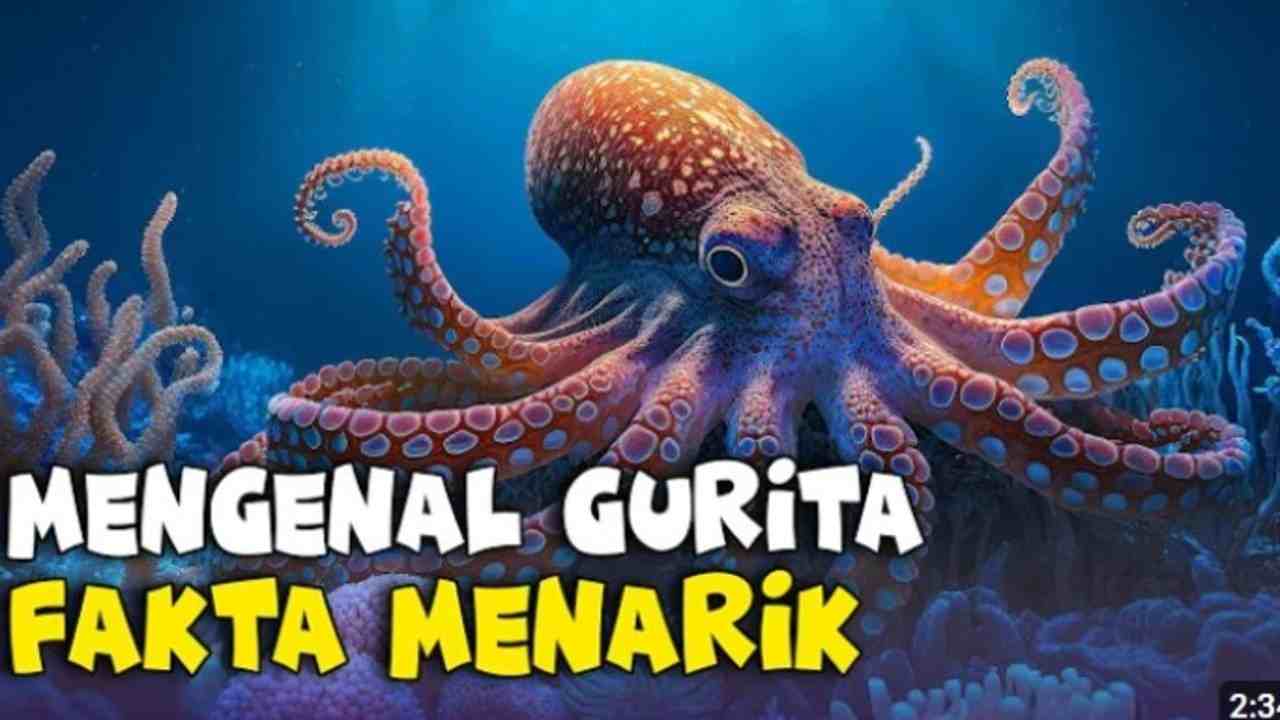 Fakta Menarik Tentang Gurita, Hewan Laut dengan Kemampuan Mimikri dan Tiga Jantung