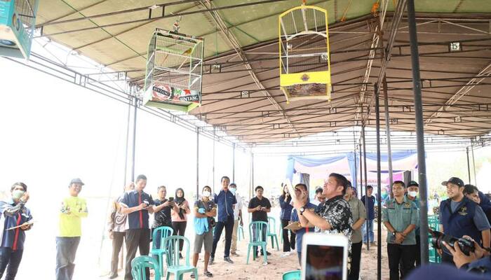 Lomba Burung Berkicau Piala Gubernur Sumsel: Pecinta Satwa Diminta Lestarikan Burung Asli Habitat Sumsel