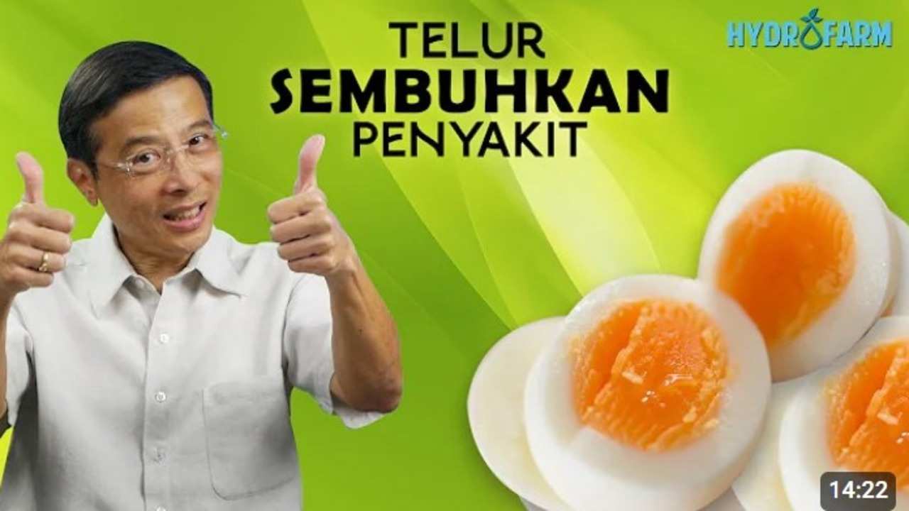 Telur Bisa Sembuhkan Penyakit? Simak Fakta Menariknya di Sini!