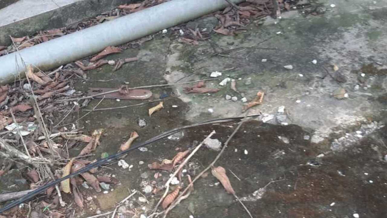 Aksi Maling Siang Bolong Merajalela di Kelurahan Kayuara Kuning