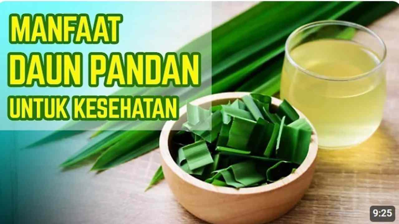 Lebih dari Sekedar Wangi! Ini 5 Penyakit yang Bisa Dicegah Pakai Daun Pandan!