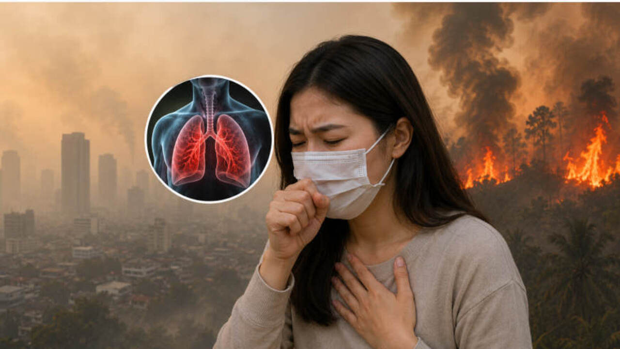 Kabut Asap Karhutla Makin Tebal, Jangan Anggap Sepele! Ini 7 Bahaya Serius bagi Kesehatan
