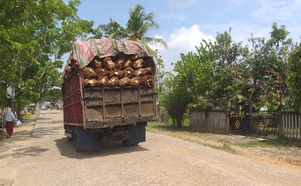 Truk Bermuatan Sawit Ancam Keselamatan, Pengguna Jalan Minta Dinas Terkait Bertindak