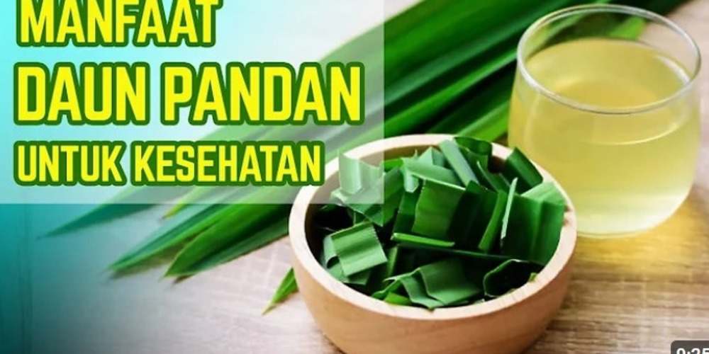 Manfaat Daun Pandan, Rahasia Kesehatan Alami yang Bikin Kamu Makin Sehat!