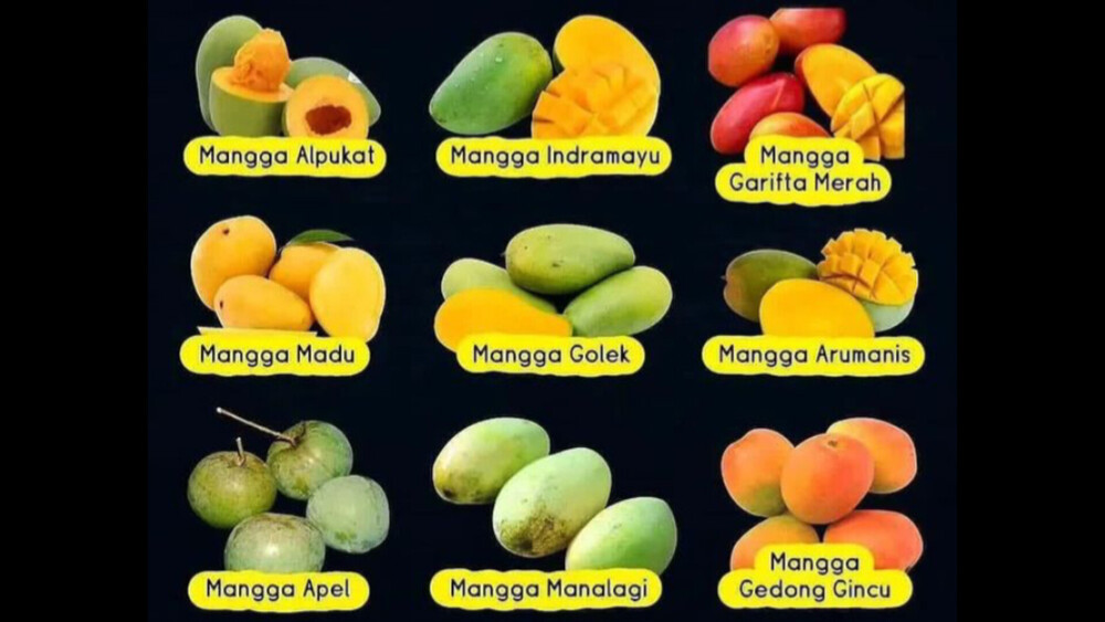 Mengenal 9 Jenis Mangga yang Ada di Indonesia, Yang Mana Favoritmu?