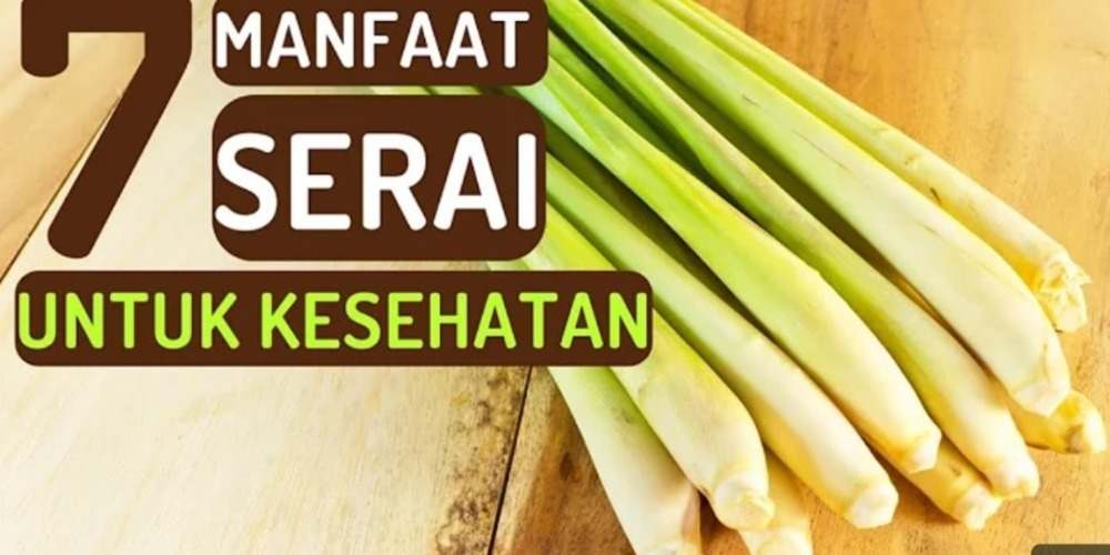 7 Manfaat Daun Serai untuk Kesehatan, Rahasia Alami yang Perlu Anda Ketahui