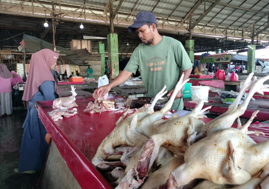 H-6 Lebaran, Harga Ayam Merah di Pangkalan Balai Tembus Rp60 Ribu/Ekor