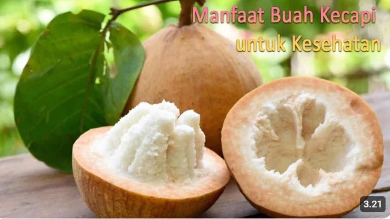 Terungkap! Manfaat Buah Kecapi yang Bikin Badan Sehat dan Fresh ala Alami