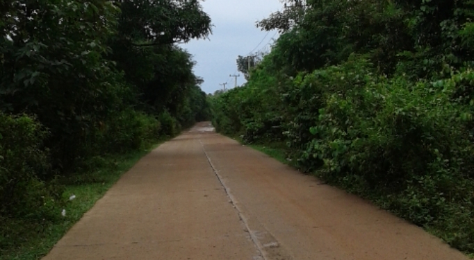 Jalan Provinsi di Wilayah Ini Gelap Gulita, Pengguna Jalan Berharap Lampu Penerang Jalan