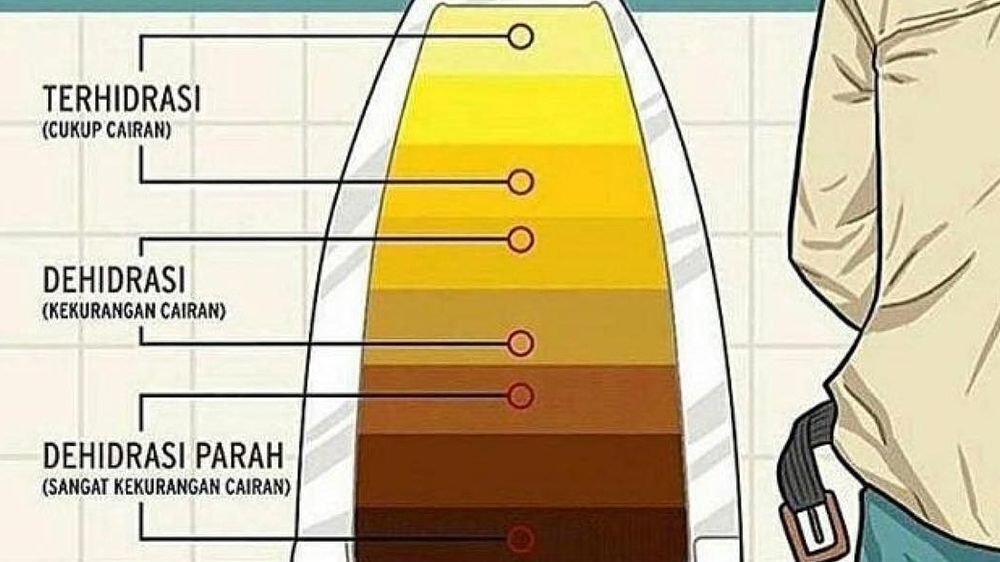 10 Macam Warna Air Urine beserta artinya, Nomor 6 Paling Sering Terjadi 