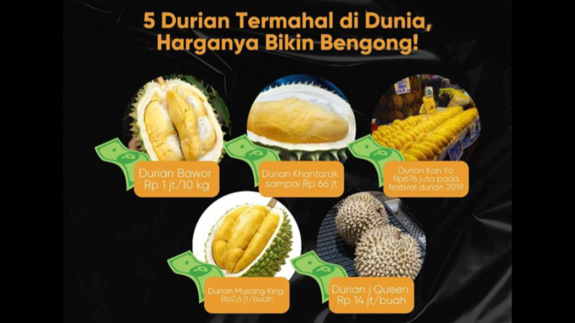 5 Durian Termahal di Dunia Dengan Harga Fantastis, Bisa Buat Beli Rumah