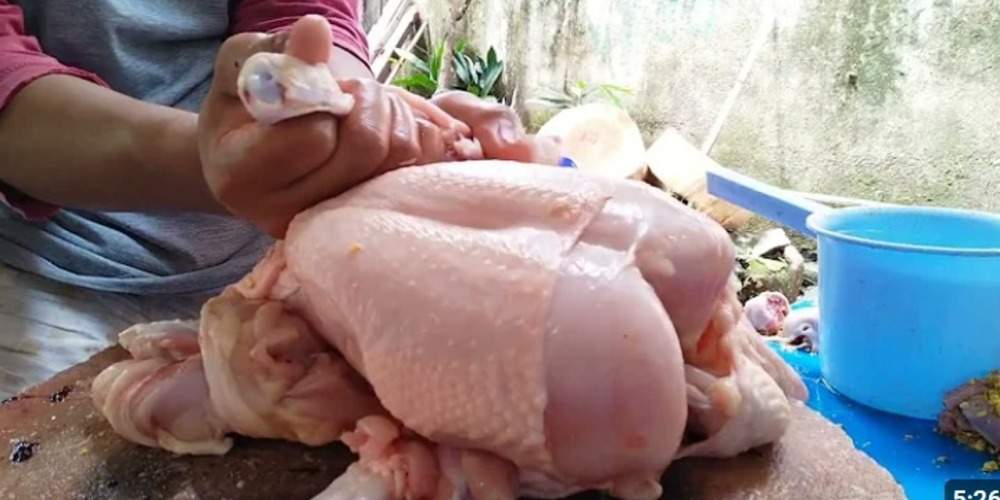 Manfaat Dahsyat Daging Ayam, Sumber Nutrisi dan Kesehatan Tubuh yang Wajib Kamu Tahu!