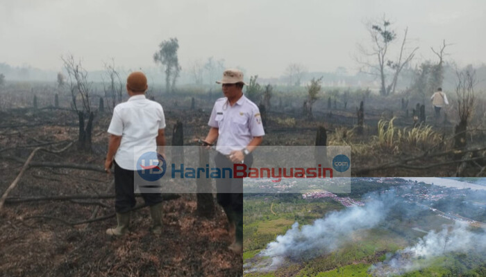 Petugas Berjibaku Padamkan Karhutla Sejak Siang Hingga Malam Hari, Hektaran Lahan di Lokasi Ini Terbakar