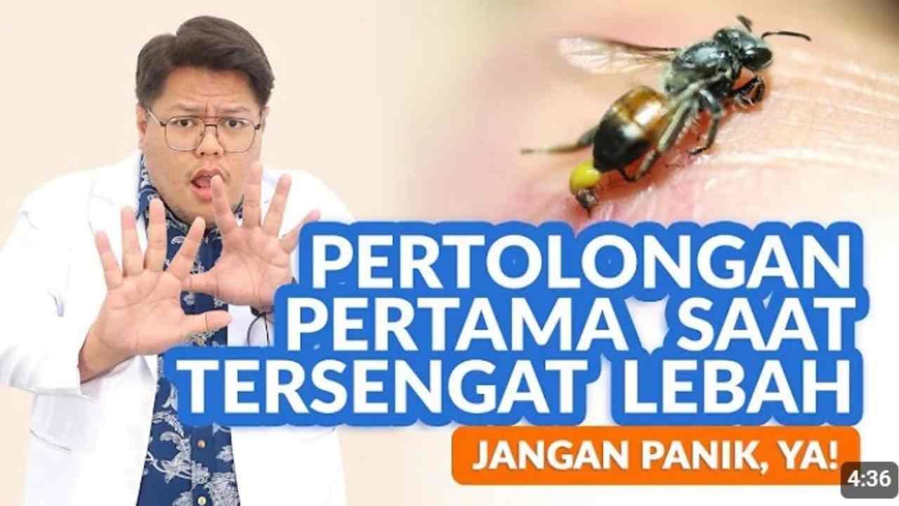 Digigit Lebah? Jangan Panik! Lakukan Langkah Ini untuk Pertolongan Cepat!