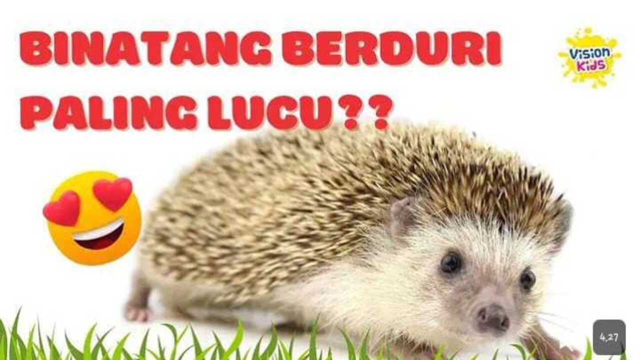 Landak, Si Berduri yang Ternyata Punya Pesona Unik, Gak Cuma Gemesin!