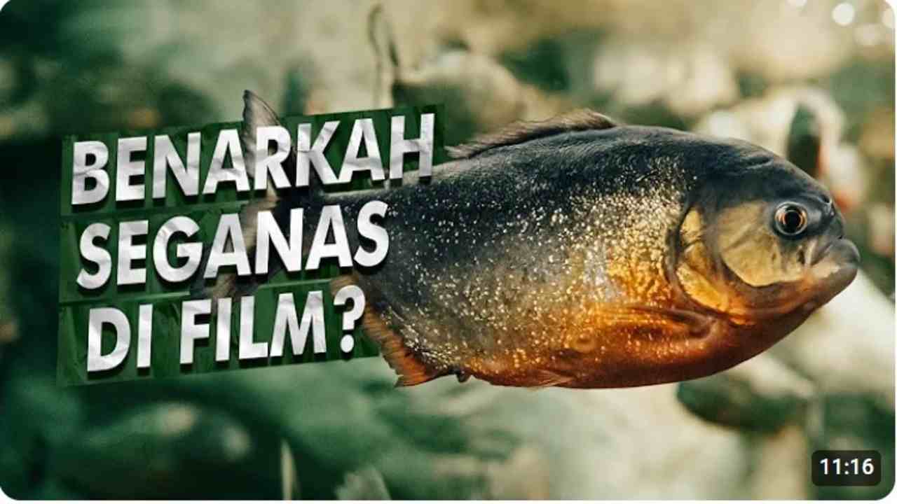 Gigitan Kuat Piranha Lebih Hebat dari Megalodon? Ini Fakta Menarik yang Mengejutkan!