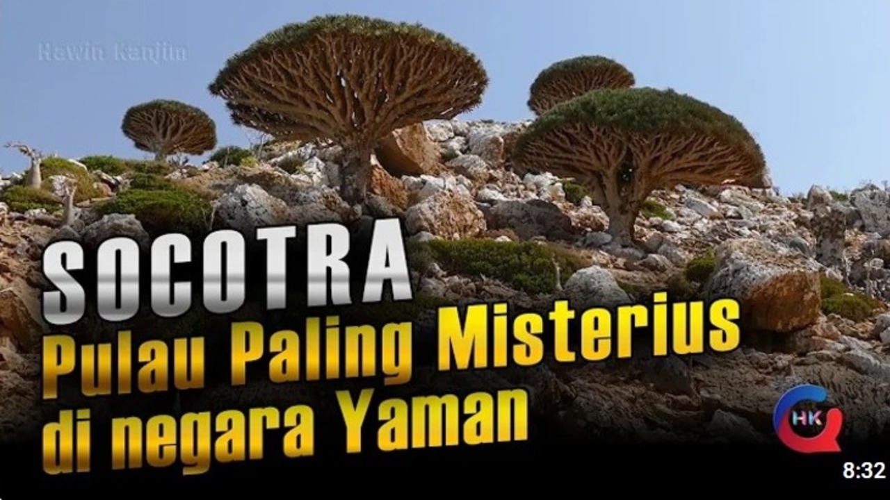 6 Fakta Pulau Socotra di Yaman, Pulau yang Dijuluki Planet Lain