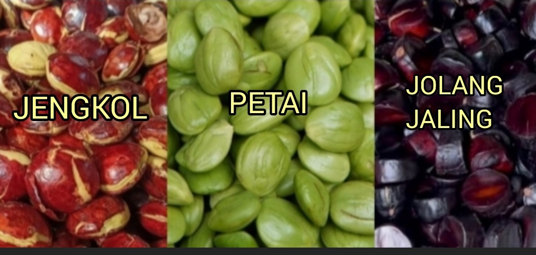 Tiga Lalapan Beraroma Kuat: Petai, Jengkol, dan Jolang-Jaling, Serupa Tapi Tak Sama!