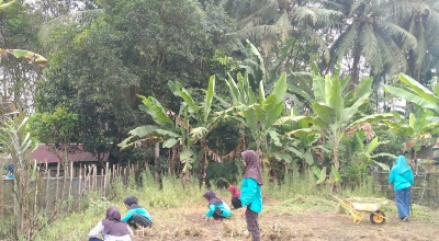 Cegah Krisis Pangan, KWT Terlangu Kelola Lahan Nganggur Jadi Kebun Sayur