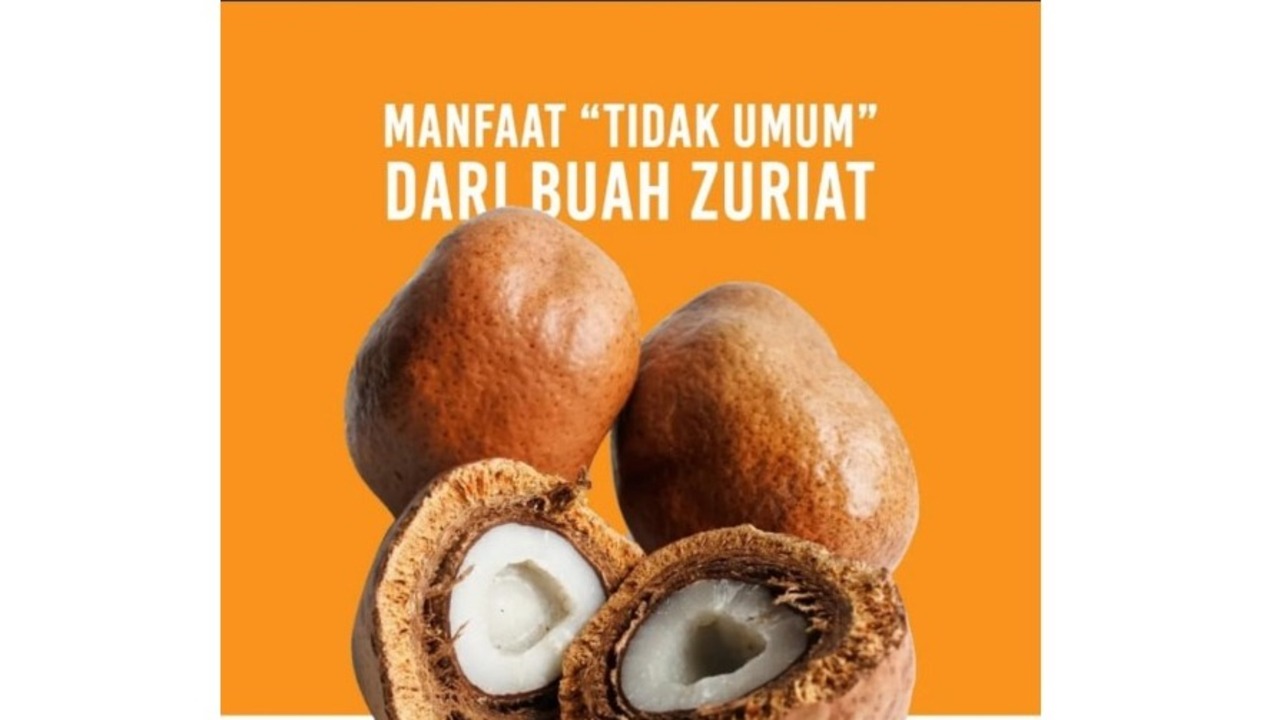 Manfaat Tidak Umum dari Buah Zuriat, Buah Eksotis yang Sarat Khasiat Tersembunyi