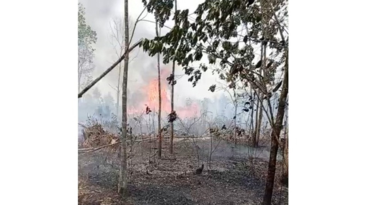 Kebakaran Lahan Kembali Terjadi, Kebun Karet Warga Dilalap Api
