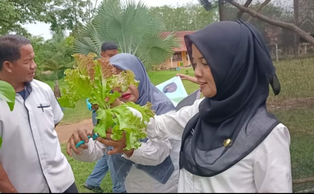 SMAN 3 Banyuasin III Kembangkan Tanaman Hidroponik