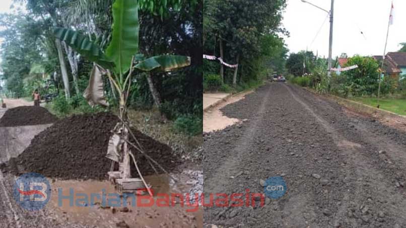 Sempat Ditanam Pohon Pisang, Akhirnya Jalan Sang Aji Dilakukan Perbaikan