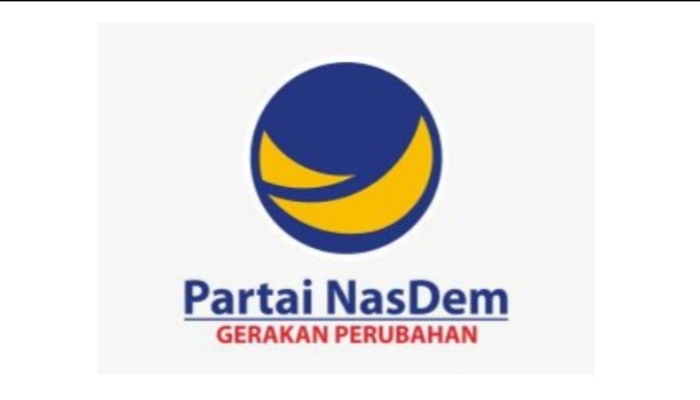 Ini Daftar Bacaleg DPRD Banyuasin dari Partai NasDem yang Namanya Tercantum dalam DCS