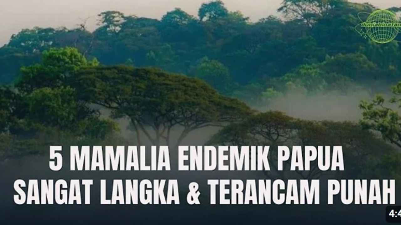 5 Mamalia Endemik Papua yang Sangat Langka dan Terancam Punah