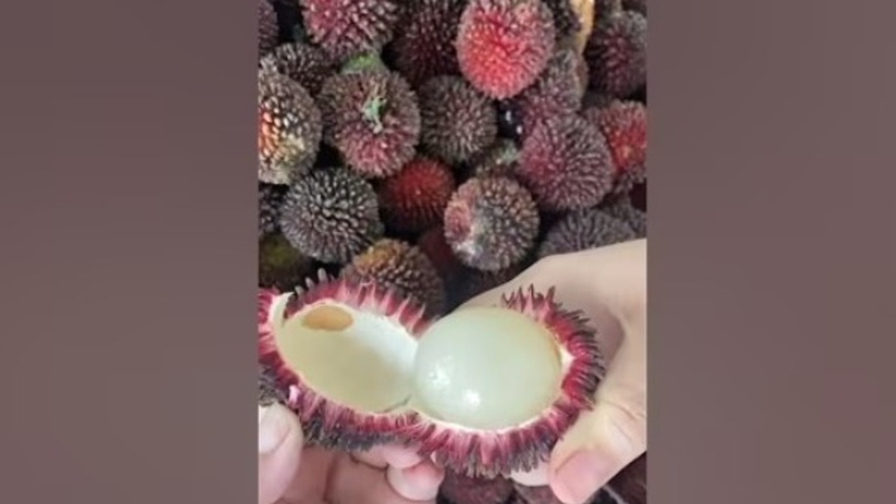 Mirip Rambutan Tapi Jauh Lebih Manis! Buah Kalasan Ini Mulai Langka