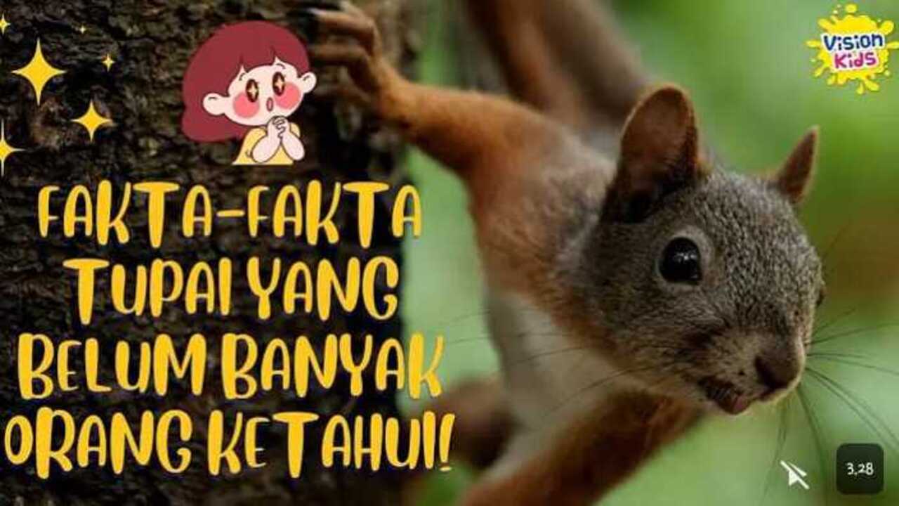 Kamu Tahu Gak? Ini Fakta Unik Tentang Tupai yang Jarang Diketahui!