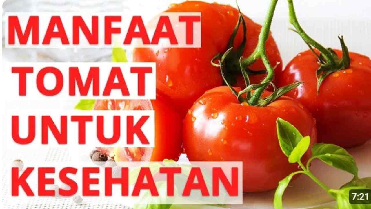 6 Manfaat Tomat bagi Kesehatan, Lebih dari Sekadar Bahan Dapur!