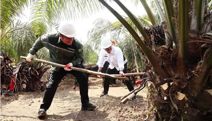 Sumsel Penyangga Pangan Nasional, Mentan RI Minta Sumsel Siap Antisipasi Dampak El Nino