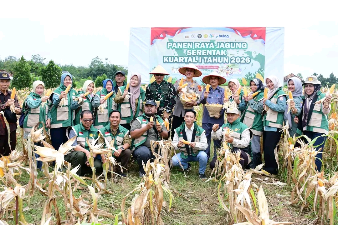 Panen Raya Jagung Serentak, Polres Banyuasin Turut Perkuat Posisi Lumbung Pangan Nasional
