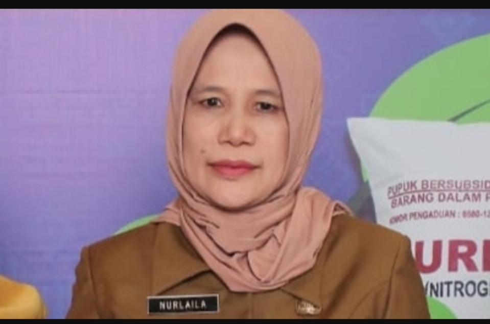 Kadis Sosial Banyuasin Mundur Pensiun Dini, Ini Alasannya