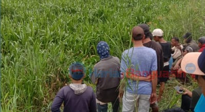 Warganya Dimangsa Buaya, Begini Ungkapan Bupati Banyuasin