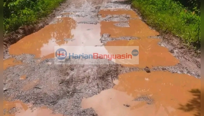 Jalan 8 Desa di Kecamatan Rantau Bayur Masih Rusak, Ini Tanggapan Bupati Banyuasin