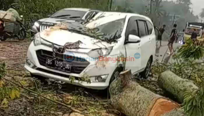 Mobil Berpenumpang Satu Keluarga Ditimpa Pohon Tumbang di Jalintim Lubuk Karet Banyuasin