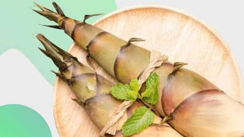 Pecinta Sayur Rebung, Ketahuilah 5 Manfaat si Tunas Bambu
